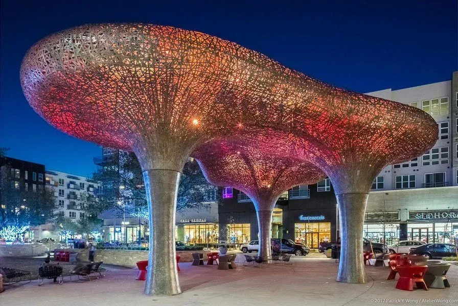 RHYS canopy