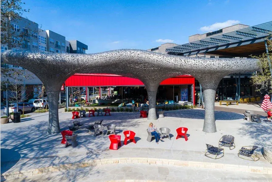 RHYS canopy