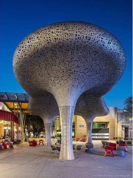 RHYS canopy